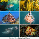 SeaLife Micro 3.0 64GB, 16mp, 4K Underwater Camera for Underwater Photography and Video, Easy Set-up, Wireless Transfer; Includes case, Wrist Strap
