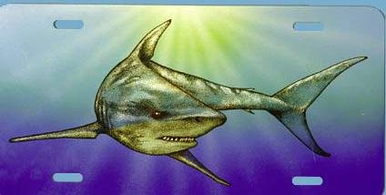 Trident Air Brushed Megalodon Great White Shark License Plate