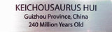 Rare 100% Complete Fossilized Marine Dinosaur - Keichousaurus Hui Reptile from Guizhou Province, China (Triassic Age, 240 Million Years Ago) - Professionally Prepared with Brushed Aluminum Plaque