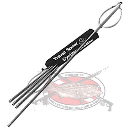 AB Biller 6' Travel Pole Spear Three 24" Sections (Paralyzer)