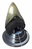 Beautiful 3D Printed Megalodon Shark Tooth Display Stand with a 4-5/8" Round Base