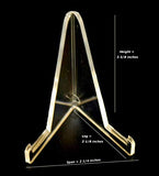 Deep Sea Fossils Custom Megalodon Shark Tooth Display Stand (Specifically Made for a 3.5" to a 6" Tooth)