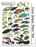 Submersible Fishwatcher's Mini Field Pocket Card & Marine Invertebrates Guide for Scuba Divers, Snorkelers & Fishermen of Micronesia & The Western Pacific - Guam, Saipan, Palau & Yap (6 x 4 Inches)