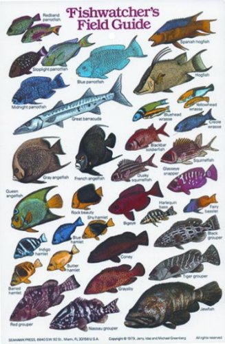 New Submersible Fish ID Card & Pocket Guide for Scuba Divers, Snorkelers & Fishermen - Fishwatcher's Field Guide
