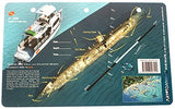 Innovative Scuba Art to Media Underwater Waterproof 3D Dive Site Map - U352 Off of North Carolina (8.5 x 5.5 Inches) (21.6 x 15cm)