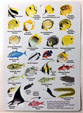 Submersible Mini Fish ID Card & Field Pocket Guide for Scuba Divers, Snorkelers & Fishermen - Guide to Hawaiian Reef Fish (6 x 4 Inches)