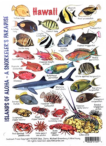 Submersible Fish & Invertebrates Reefcomber's Mini Field Pocket Guide for Scuba Divers, Snorkelers & Fishermen in The Aloha Islands of Hawaii - A snorkeler's Paradise (6 x 4 Inches)