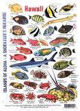 Submersible Fish & Invertebrates Reefcomber's Mini Field Pocket Guide for Scuba Divers, Snorkelers & Fishermen in The Aloha Islands of Hawaii - A snorkeler's Paradise (6 x 4 Inches)