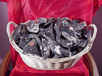 Bulk Megalodon Teeth - 3/4 Shards & Frags (un-Cleaned and by The Pound)