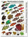 Submersible Fish ID Card & Mini Pocket Guide for Scuba Divers, Snorkelers & Fishermen - Reef Fishes, Corals & Crustaceans of The Tropical Atlantic, Florida, Bahamas & The Caribbean (6 x 4 Inches)