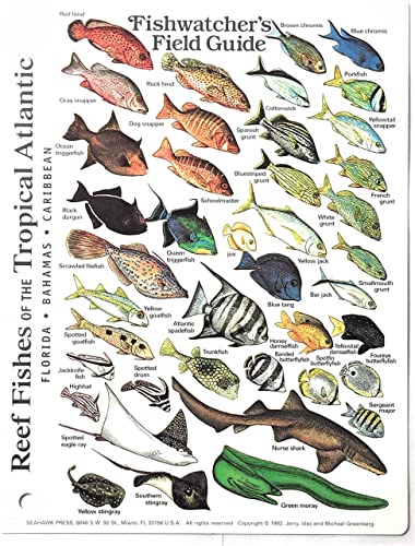 Submersible Mini Fish ID Card & Fishwatcher's Field Pocket Guide for Scuba Divers, Snorkelers & Fishermen - Reef Fishes of The Tropical Atlantic (Florida, The Bahamas & The Caribbean) (6 x 4 Inches)