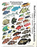Submersible Mini Fish ID Card & Fishwatcher's Field Pocket Guide for Scuba Divers, Snorkelers & Fishermen - Reef Fishes of The Tropical Atlantic (Florida, The Bahamas & The Caribbean) (6 x 4 Inches)