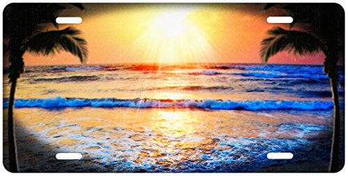 Marine Sports Manufacturing New Aluminum Scuba Diving License Plate - Sunset