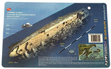 Innovative Scuba New Art to Media Underwater Waterproof 3D Dive Site Map - Andres Doria Off of Massachusetts (8.5 x 5.5 Inches) (21.6 x 15cm)/LID
