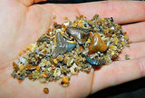 Dig for Prehistoric Fossil Shark Teeth - 4 Fossilized Shark Teeth Guaranteed in Every Bag (Miocene Period - 5-23 Million Years Old)