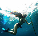Spear Fishing Pole Spear 6mm Tips for Spearfishing and Lionfish Hunting