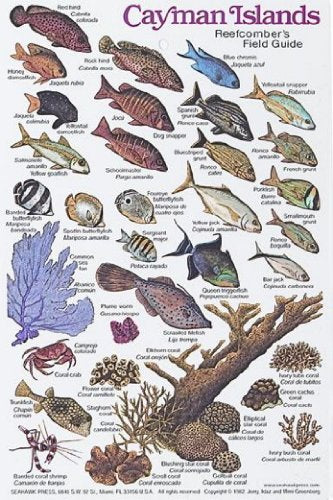New Submersible Fish ID Card & Pocket Guide for Scuba Divers, Snorkelers & Fishermen - Fishwatcher's Field Guide to the Cayman Islands/FBM