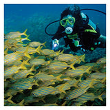 Underwater Kinetics SL4 eLED MK2 Dive Light