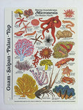 Innovative Scuba Mini Micronesia Fish Card