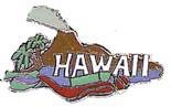 Trident New Collectable Hawaii Scuba Diver Hat & Lapel Pin