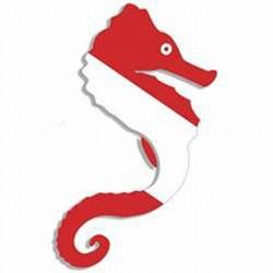 Innovative Scuba Concepts New Diver Down Flag Die Cut Sticker Decal for Your Boat, Tanks or Auto - Seahorse (4-3/4" Tall)/FBM