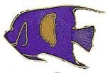 New Collectable Queen Angel Fish Scuba Diving Hat Pin