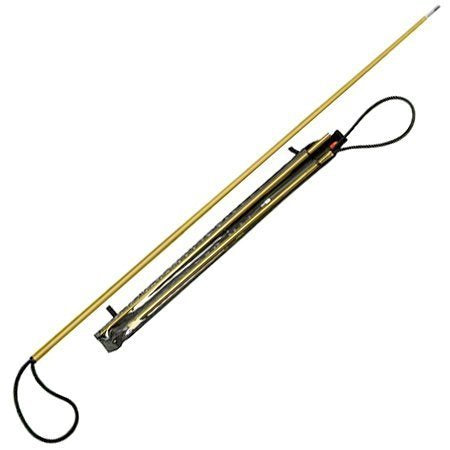 JBL New 2D80 Two Piece 80 Inch (2 Meters) Travel Polespear 846 Tip and Travel Case (T-PS18)/RFA