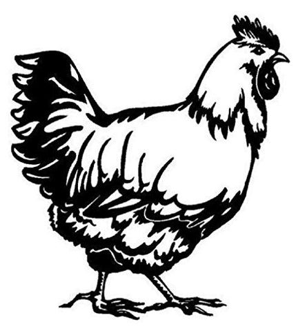 Chicken Life Vinyl Decal Car Sticker with Rooster - 5.04" x 4.61"