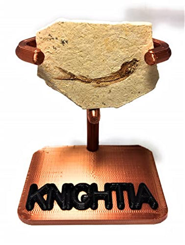 Exact Fossil Fish as Shown in Image - 50 Million Year Old Knightia Fossil Fish with 3D-Printed Stand and 4" x 6" Informational Display Card