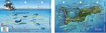 Innovative Scuba Concepts New Art to Media Underwater Waterproof 3D Dive Site Map - Stingray City in Grand Cayman, Cayman Islands (8.5 x 5.5 Inches) (21.6 x 15cm)