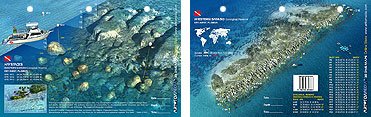 Innovative Scuba New Art to Media Underwater Waterproof 3D Dive Site Map - Western Samboo in Key West, Florida (8.5 x 5.5 Inches) (21.6 x 15cm)
