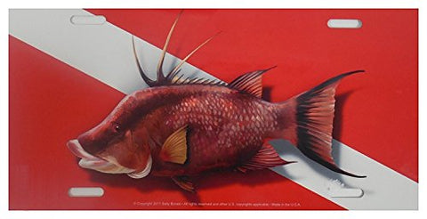 Marine Sports Manufacturing New Aluminum Scuba Diving License Plate - Hogfish on Red and White Dive Flag