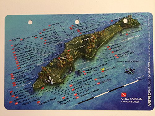 Innovative Scuba New Art to Media Underwater Waterproof 3D Dive Site Map - Randy's Gazebo in Little Cayman, Cayman Islands (8.5 x 5.5 Inches) (21.6 x 15cm)/LID