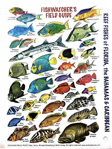 Submersible Mini Fish ID Card & Fishwatcher's Field Pocket Guide for Scuba Divers, Snorkelers & Fishermen - Reef Fishes of Florida, The Bahamas & The Caribbean (6 x 4 Inches)