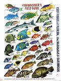Submersible Mini Fish ID Card & Fishwatcher's Field Pocket Guide for Scuba Divers, Snorkelers & Fishermen - Reef Fishes of Florida, The Bahamas & The Caribbean (6 x 4 Inches)