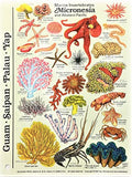 Submersible Fishwatcher's Mini Field Pocket Card & Marine Invertebrates Guide for Scuba Divers, Snorkelers & Fishermen of Micronesia & The Western Pacific - Guam, Saipan, Palau & Yap (6 x 4 Inches)