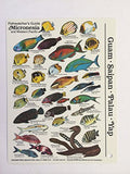 Innovative Scuba Mini Micronesia Fish Card