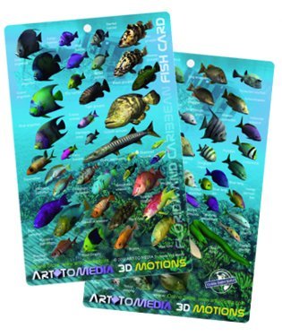 Awesome Art to Media Underwater Waterproof 3D Motion Fish Card with Lenticular Technology - Florida & the Caribbean (8.5 x 5.5 Inches) (21.6 x 15cm)