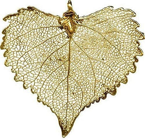 MyScubaShop New 24 Karat Gold Plated Cottonwood Leaf Pendant/LID